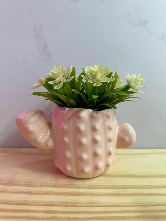 Cactus de cerámica